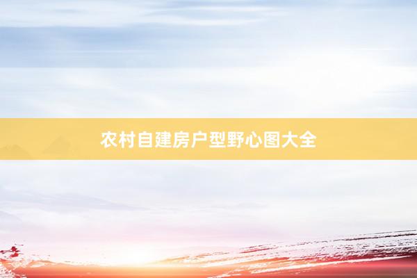 农村自建房户型野心图大全