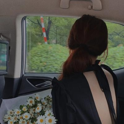 青笺未寄误红妆